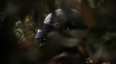 Маньяк убил пару во время занятием секса в лесу